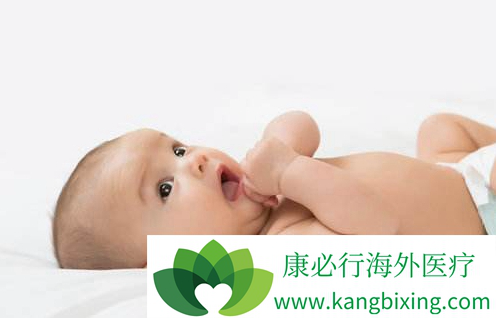 体外受精 IVF-ET