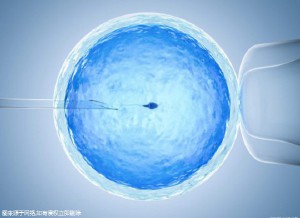 凍結胚移植